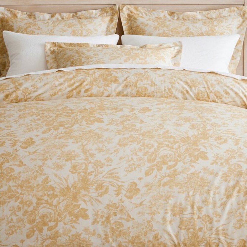 Pottery Barn Sorrel Toile Duvet Cover and Two European Shams